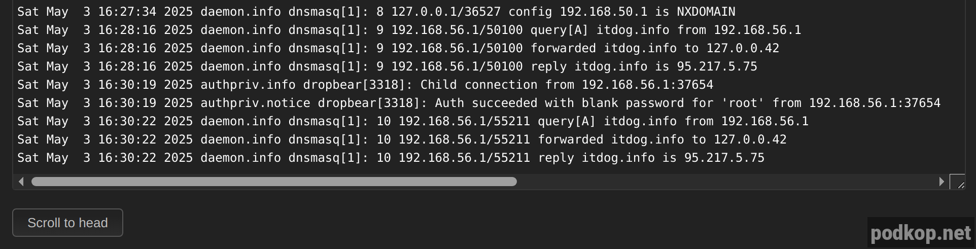 dnsmasq logs