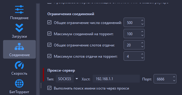 qbittorrent_proxy_setting